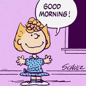 Meet your Posher, Sally